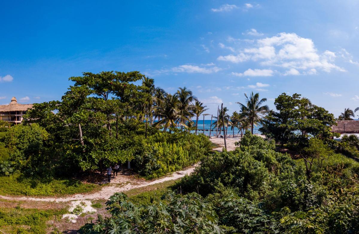 Picture of Apartment For Sale in Puerto Aventuras, Quintana Roo, Mexico