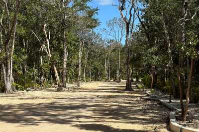 Residential Land For Sale in Tulum, Mexico