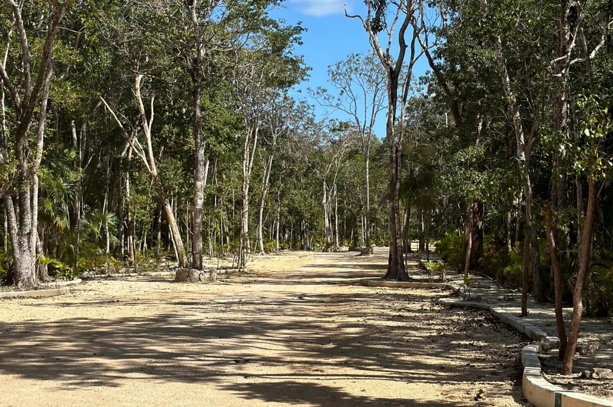 Picture of Residential Land For Sale in Tulum, Quintana Roo, Mexico