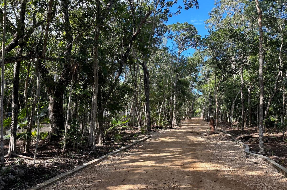 Picture of Residential Land For Sale in Tulum, Quintana Roo, Mexico