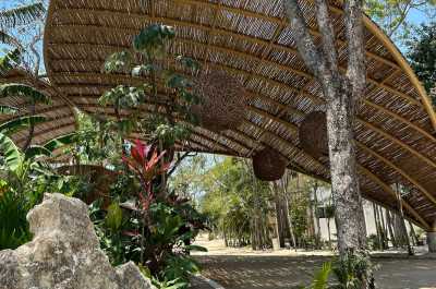 Residential Land For Sale in Tulum, Mexico