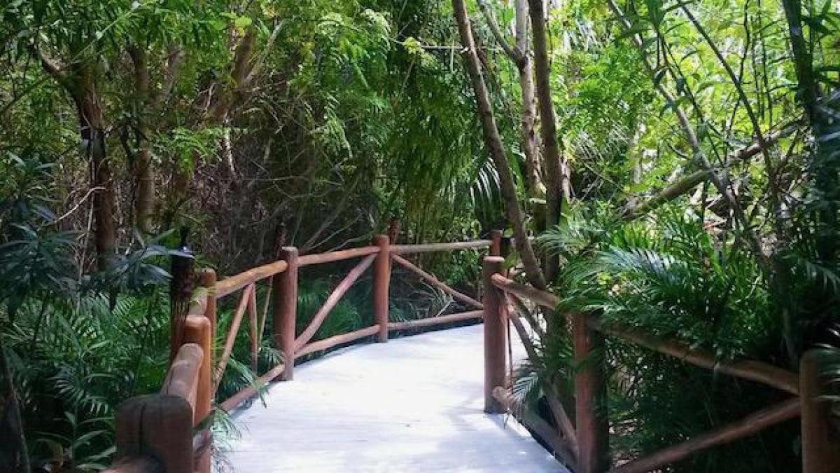 Picture of Residential Land For Sale in Playa del Carmen, Quintana Roo, Mexico