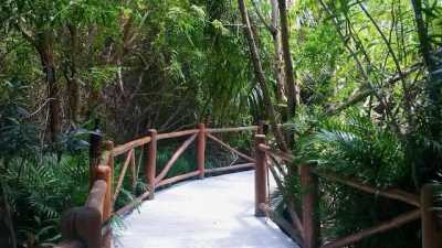 Residential Land For Sale in Playa del Carmen, Mexico