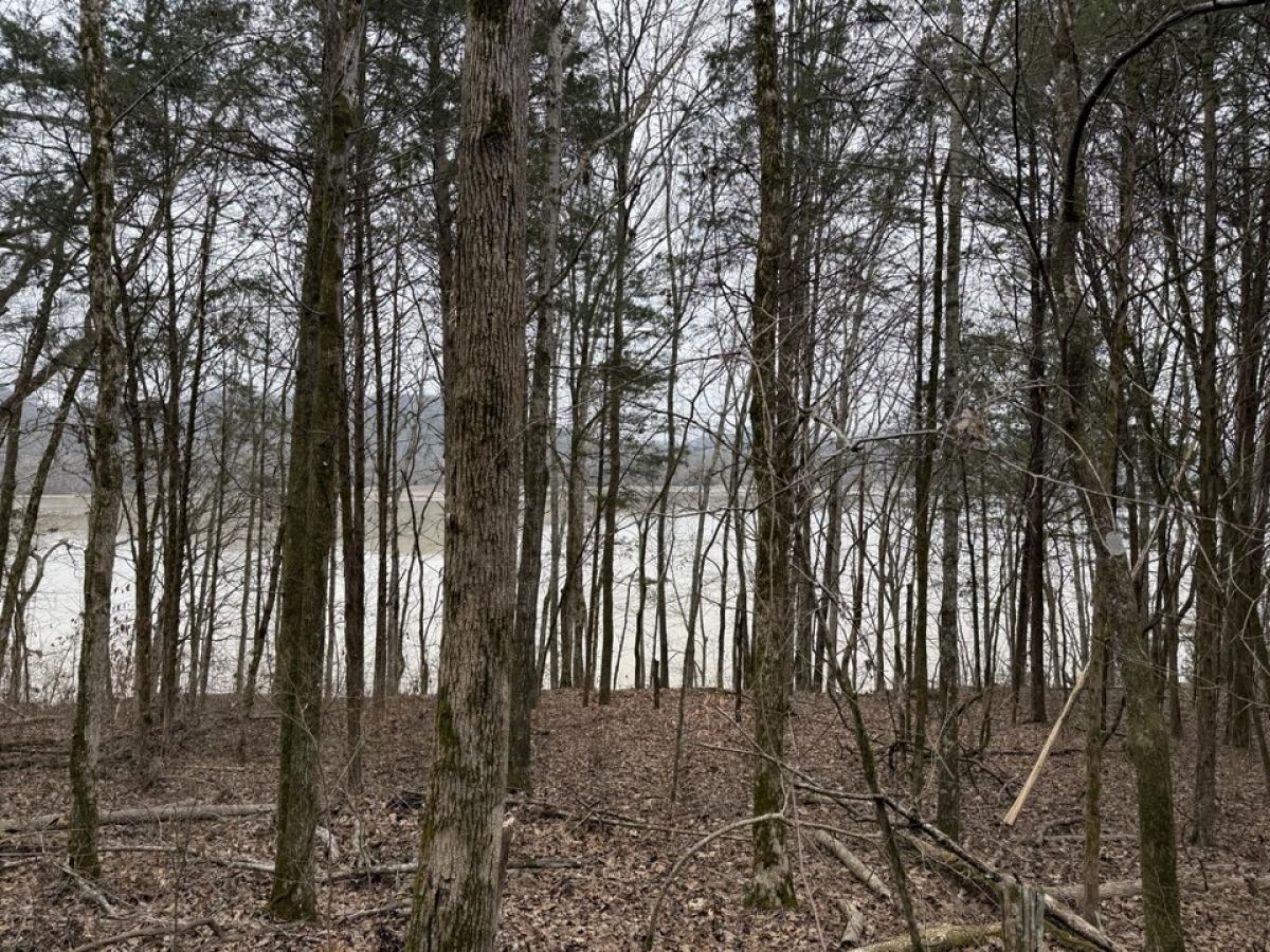 Picture of Residential Land For Sale in Gainesboro, Tennessee, United States