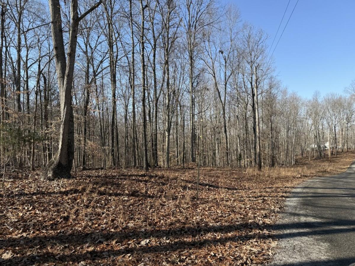 Picture of Residential Land For Sale in Hilham, Tennessee, United States