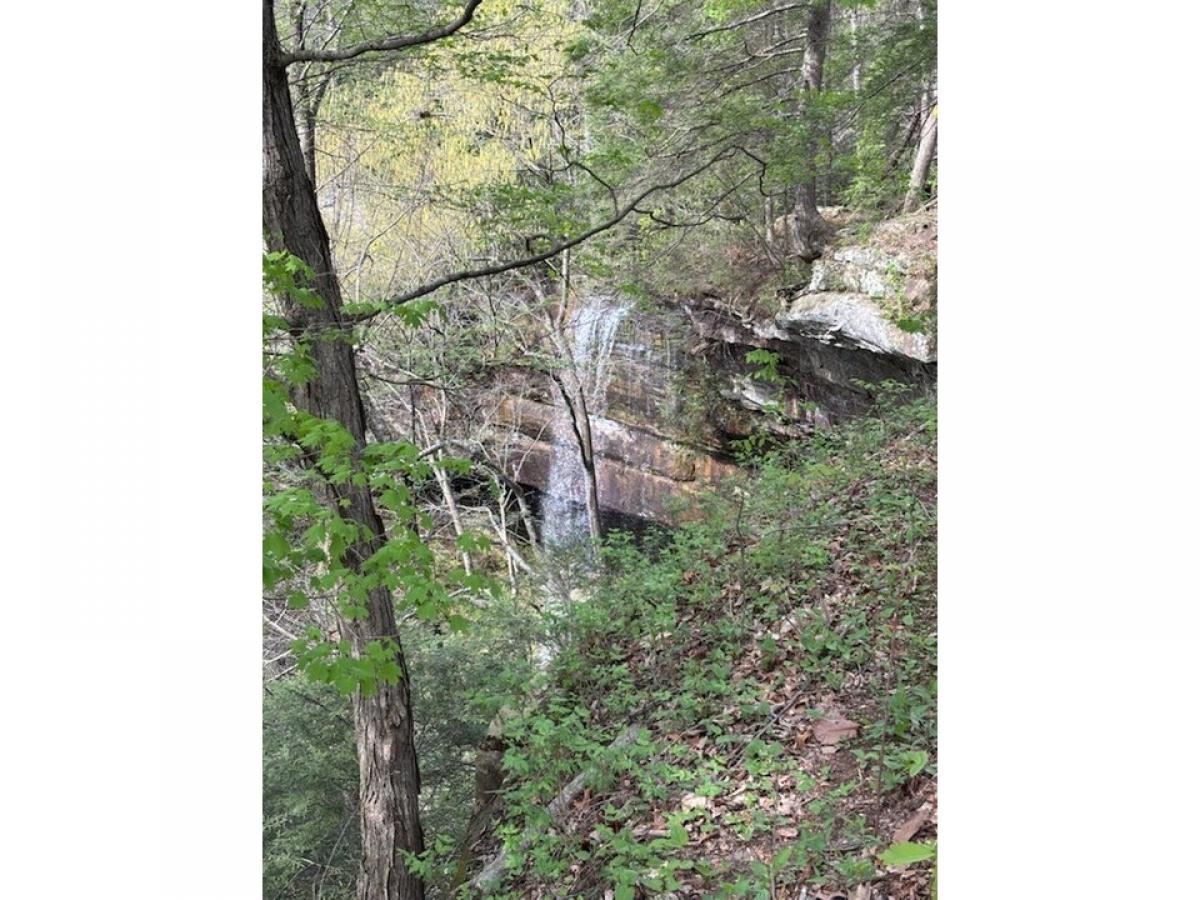 Picture of Residential Land For Sale in Sparta, Tennessee, United States