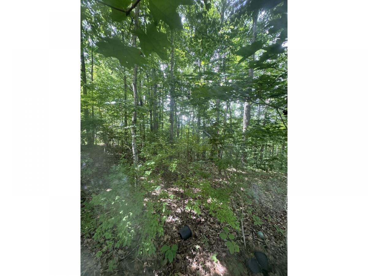 Picture of Residential Land For Sale in Smithville, Tennessee, United States