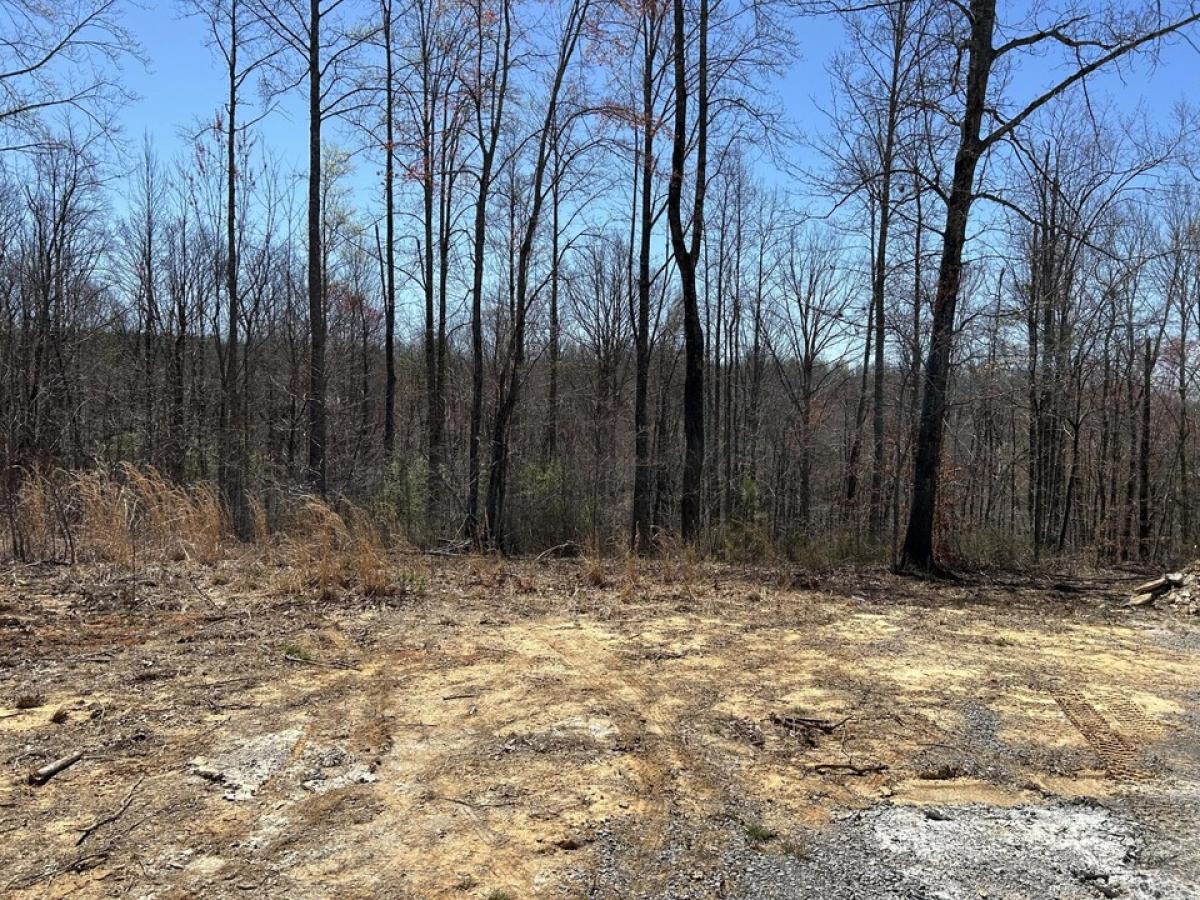 Picture of Residential Land For Sale in Sequatchie, Tennessee, United States