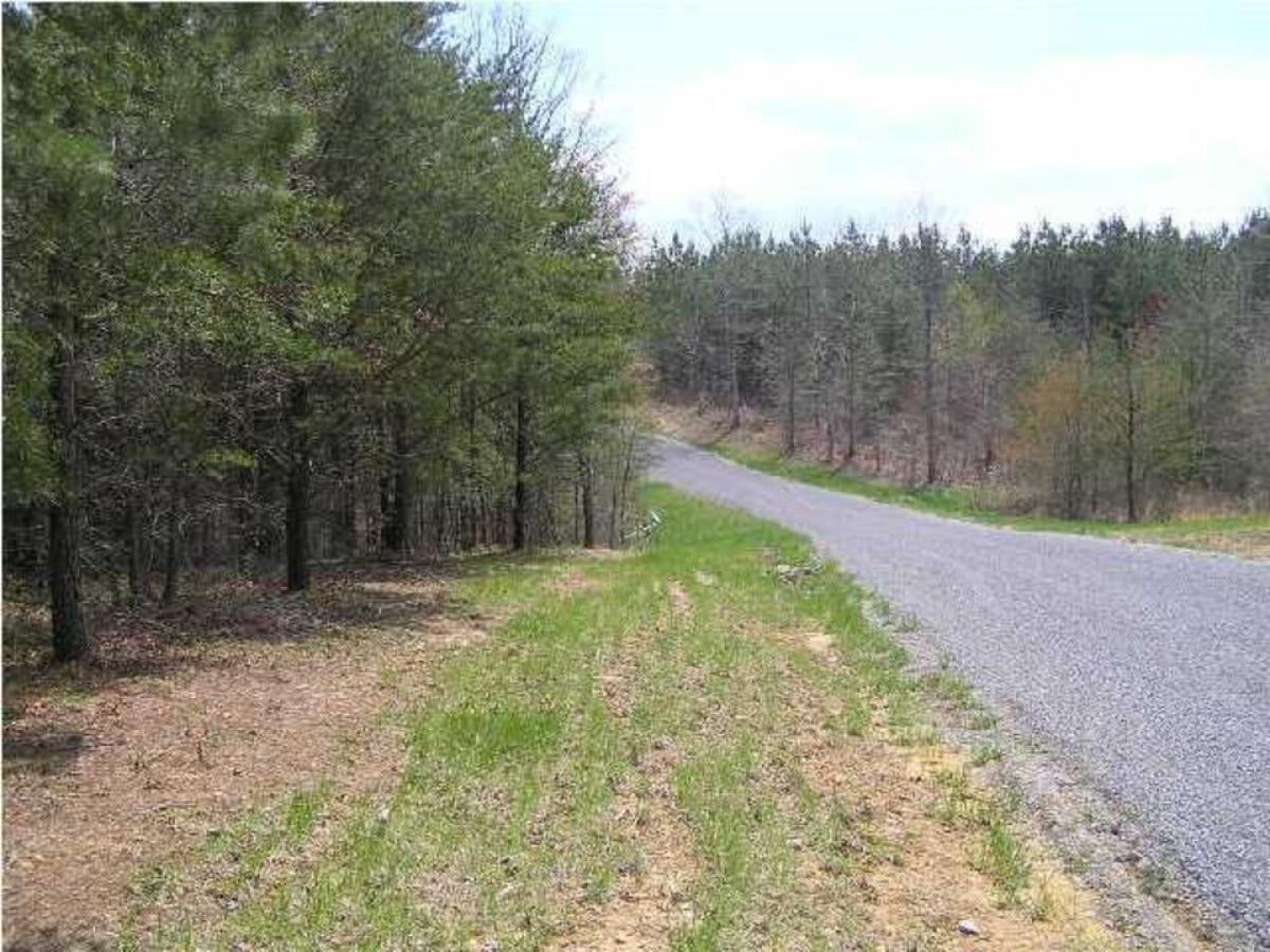 Picture of Residential Land For Sale in Spencer, Tennessee, United States
