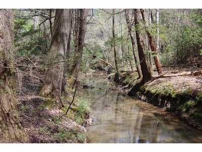 Farm For Sale in Pikeville, Tennessee