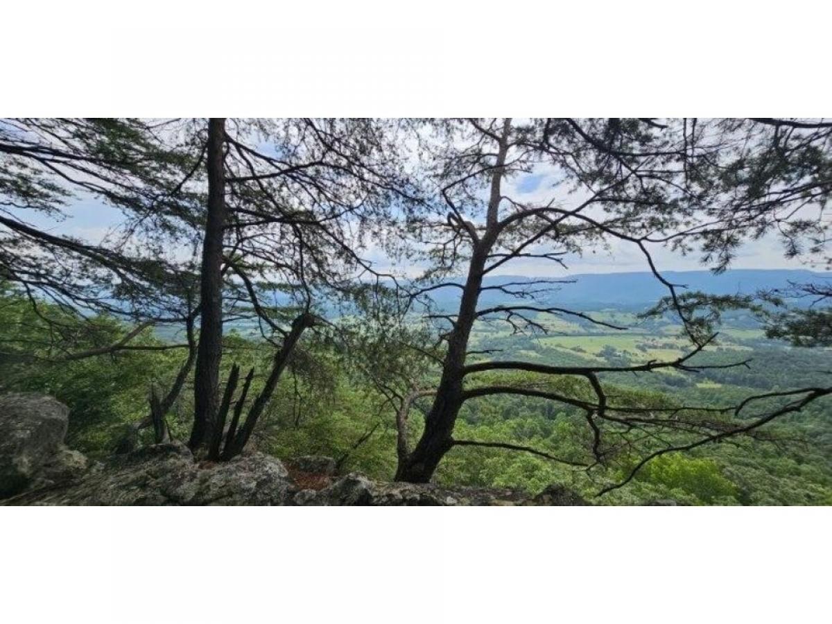 Picture of Residential Land For Sale in Pikeville, Tennessee, United States