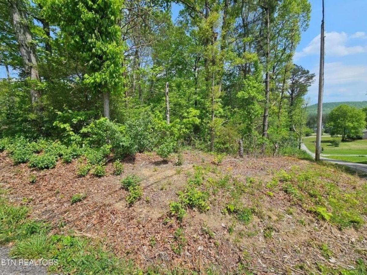 Picture of Residential Land For Sale in Helenwood, Tennessee, United States