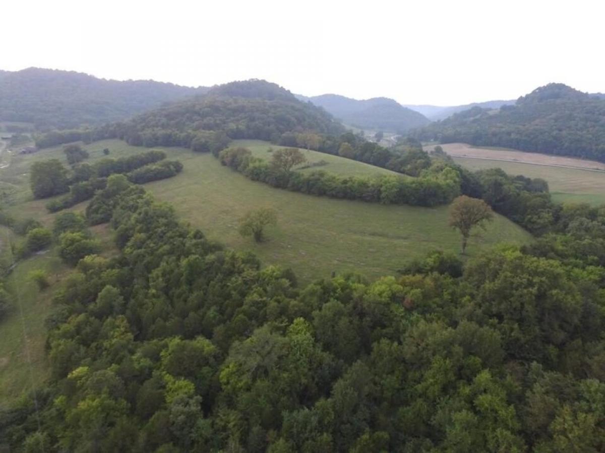 Picture of Residential Land For Sale in Pleasant Shade, Tennessee, United States