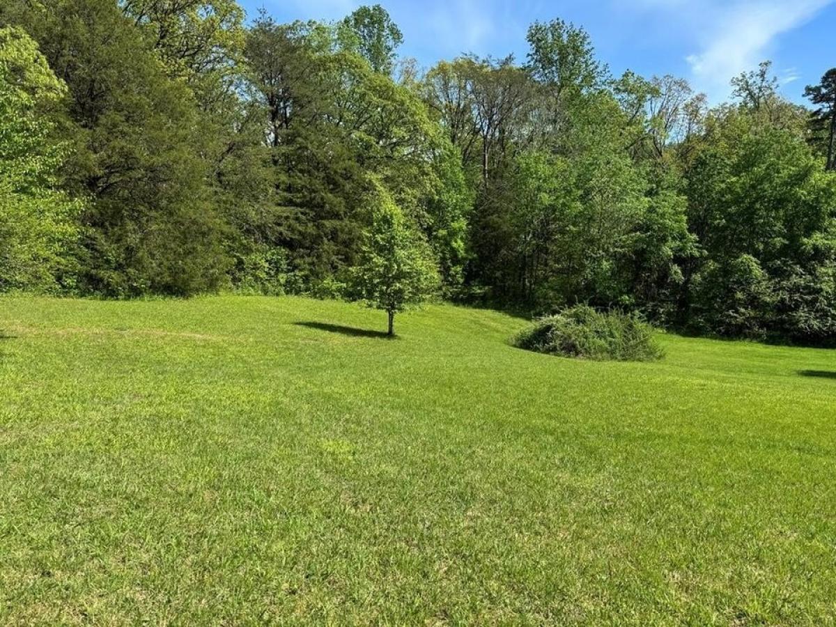 Picture of Residential Land For Sale in Sparta, Tennessee, United States