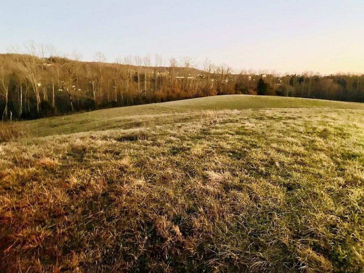 Picture of Residential Land For Sale in Cookeville, Tennessee, United States