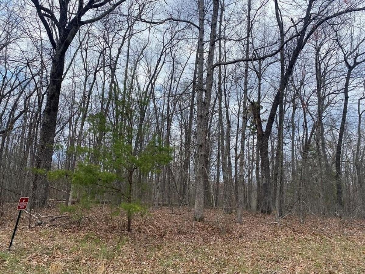 Picture of Residential Land For Sale in Monterey, Tennessee, United States