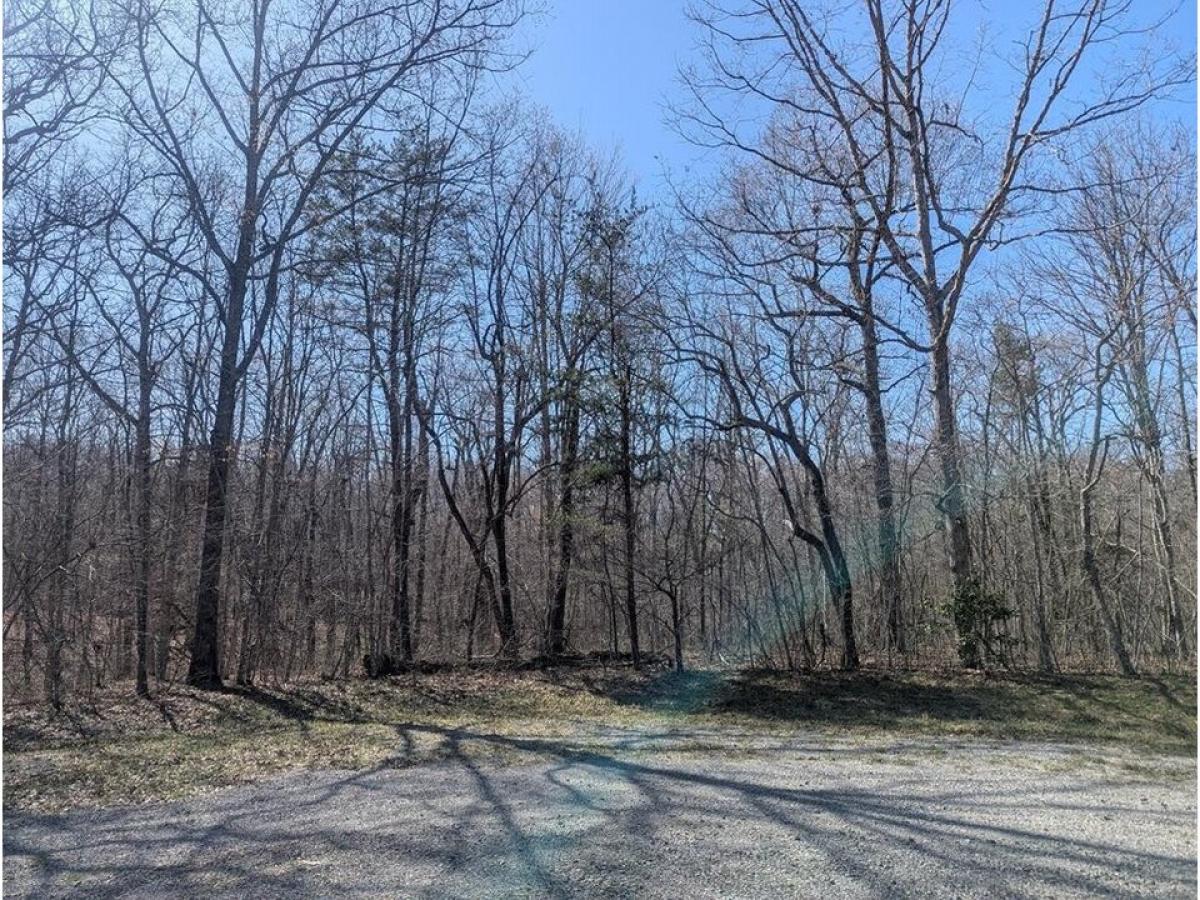 Picture of Residential Land For Sale in Monterey, Tennessee, United States