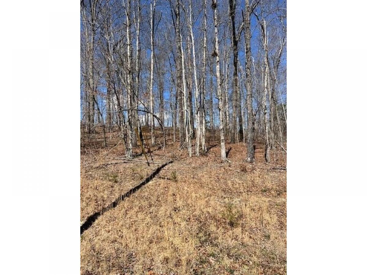 Picture of Residential Land For Sale in Monterey, Tennessee, United States