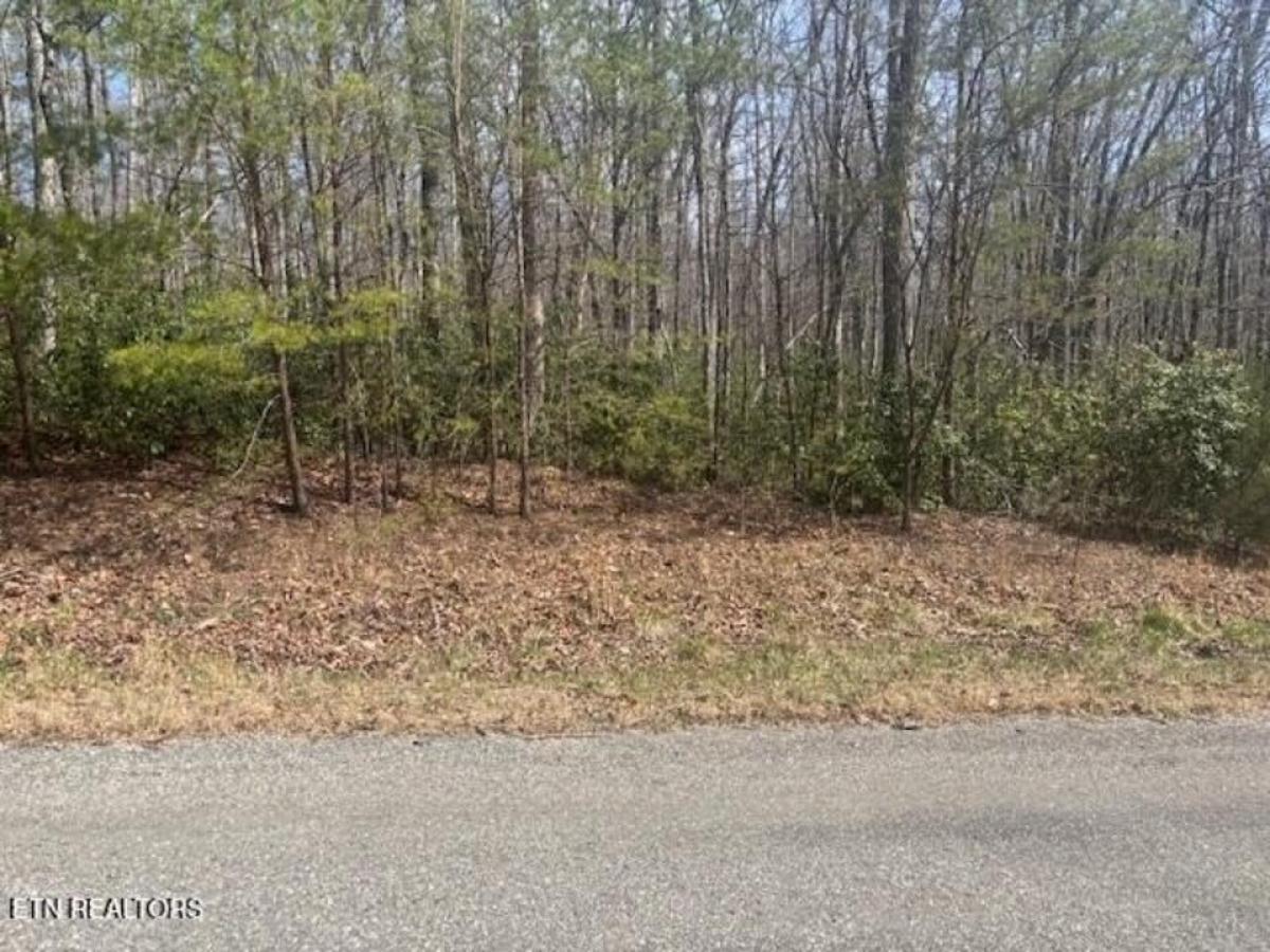 Picture of Residential Land For Sale in Monterey, Tennessee, United States