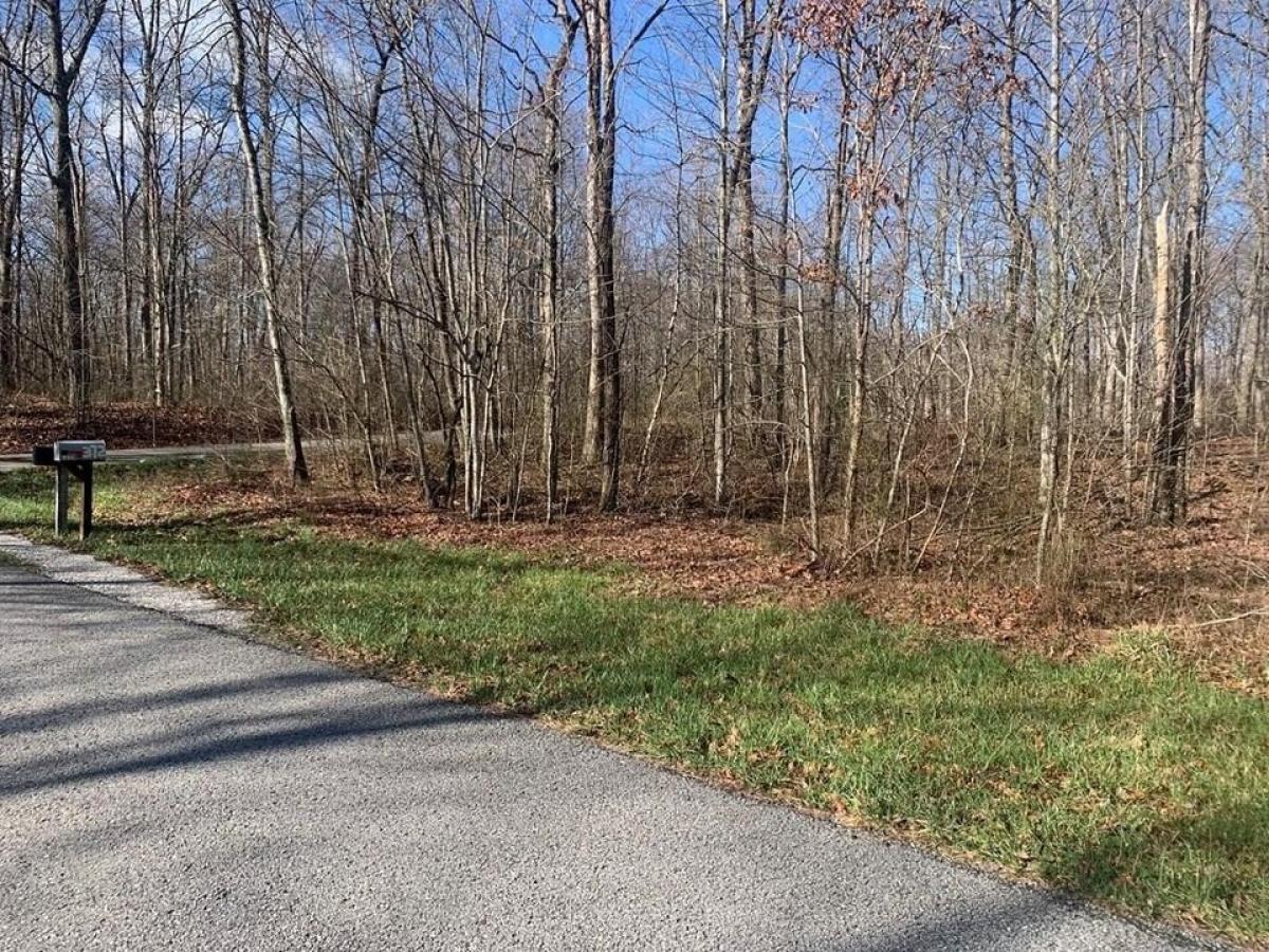 Picture of Residential Land For Sale in Spencer, Tennessee, United States