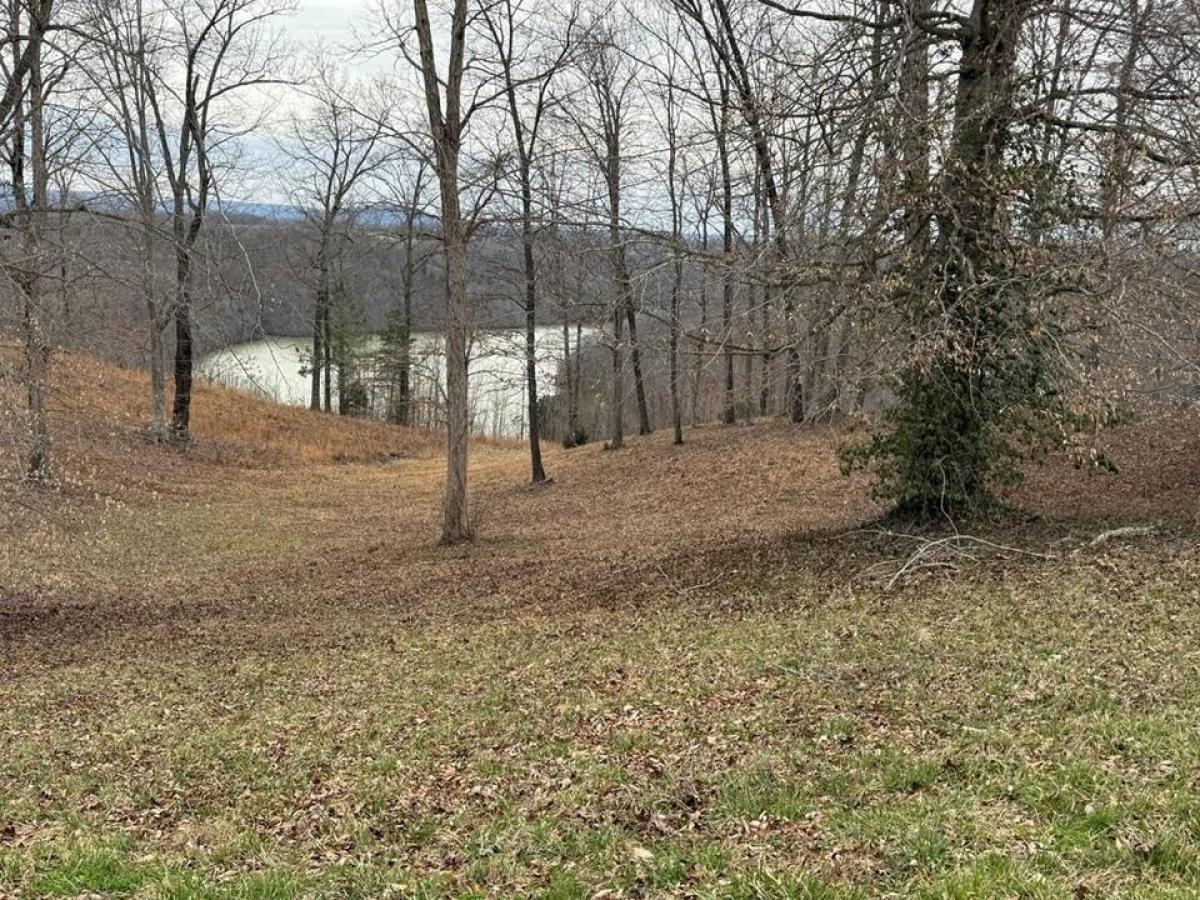Picture of Residential Land For Sale in Byrdstown, Tennessee, United States