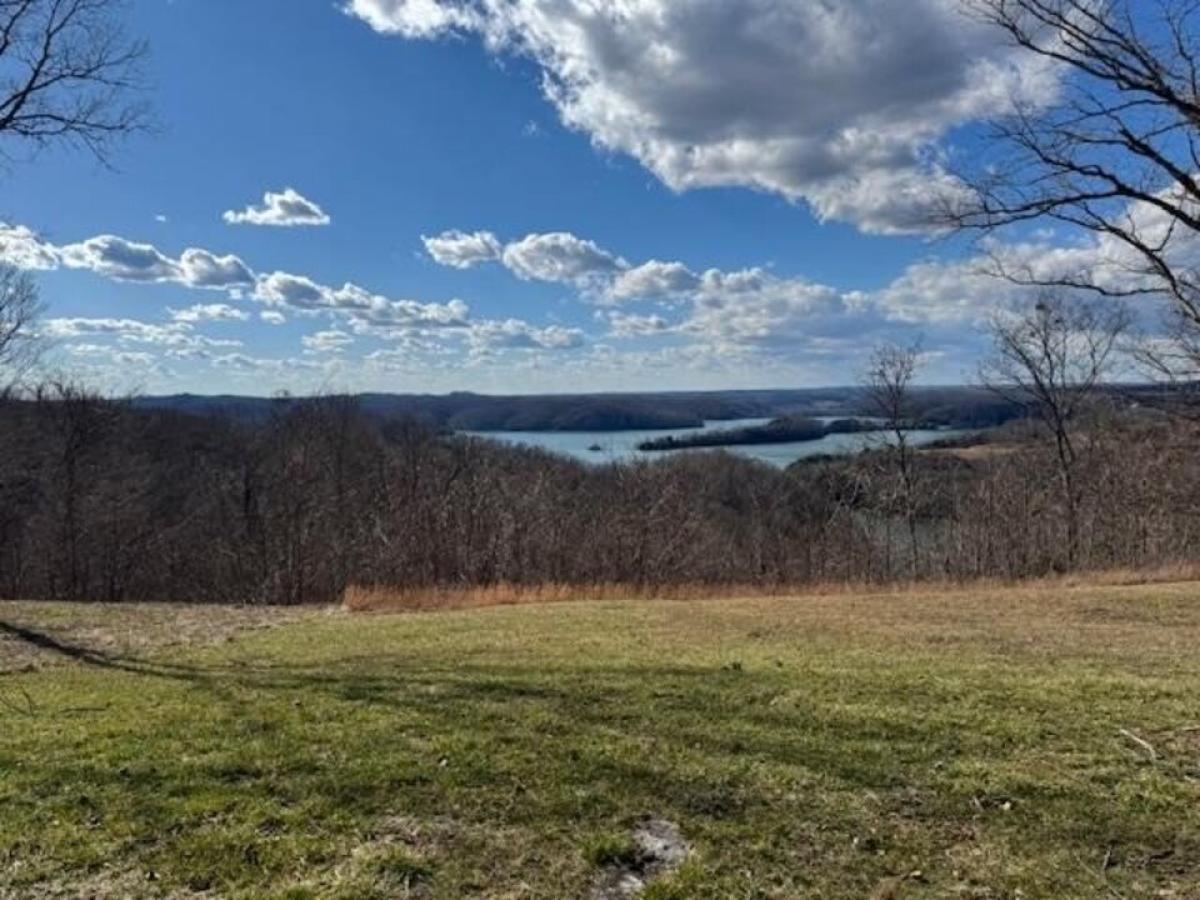 Picture of Residential Land For Sale in Hilham, Tennessee, United States