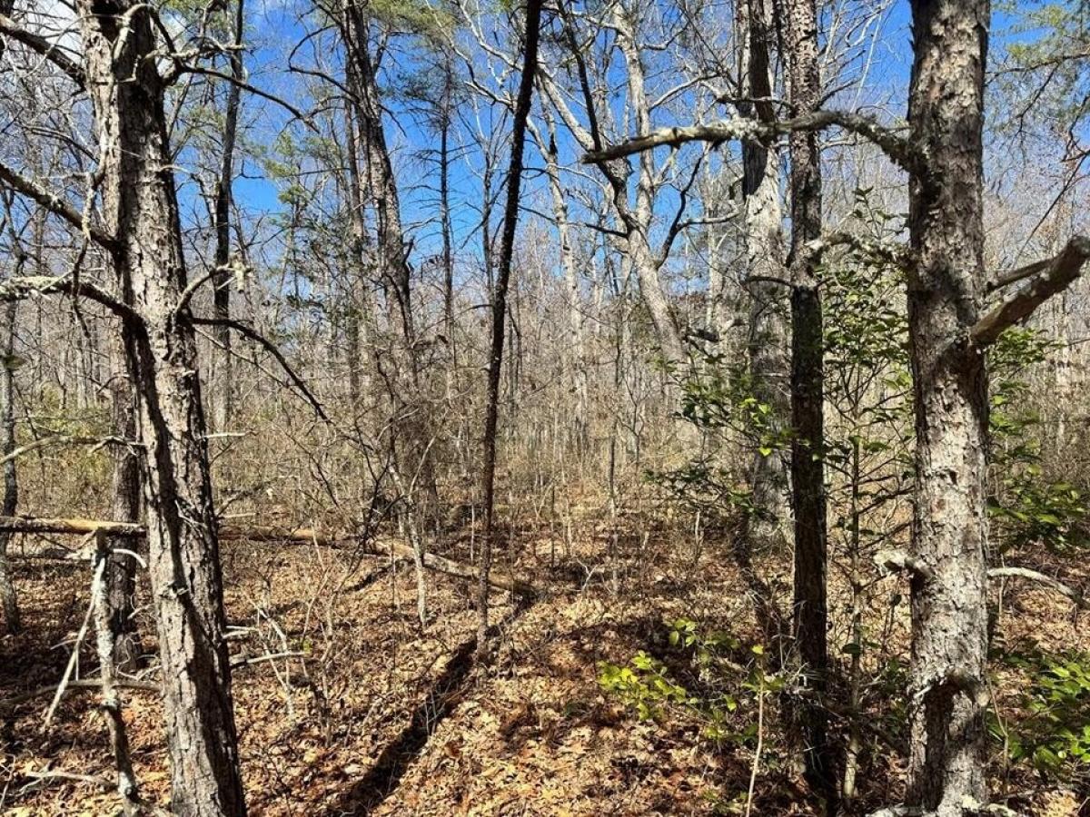Picture of Residential Land For Sale in Monterey, Tennessee, United States