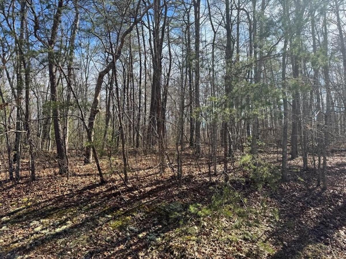 Picture of Residential Land For Sale in Monterey, Tennessee, United States