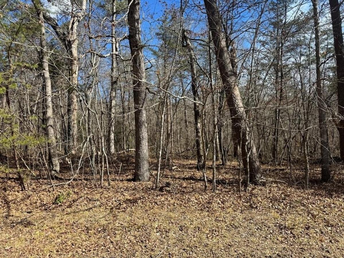 Picture of Residential Land For Sale in Monterey, Tennessee, United States