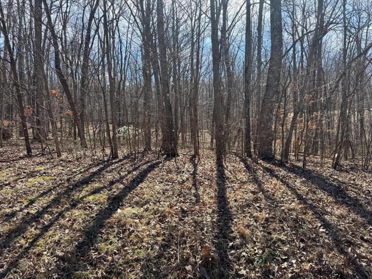 Picture of Residential Land For Sale in Monterey, Tennessee, United States