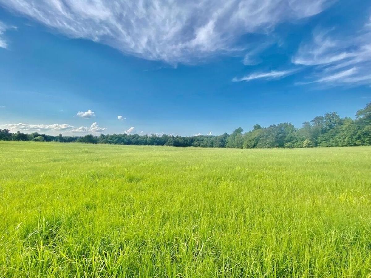 Picture of Residential Land For Sale in Cookeville, Tennessee, United States