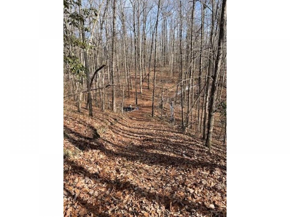 Picture of Residential Land For Sale in Monterey, Tennessee, United States