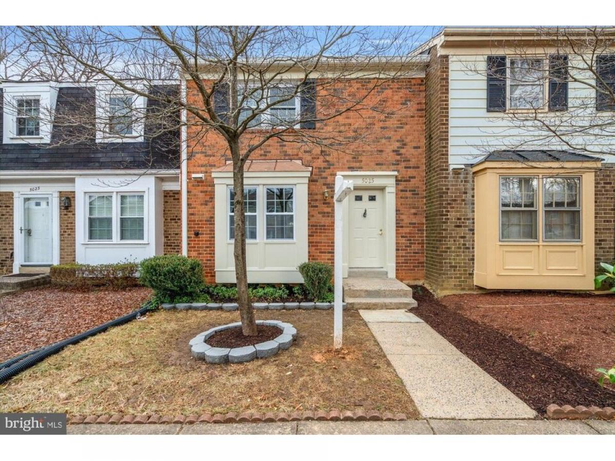 Picture of Home For Rent in Fairfax, Virginia, United States
