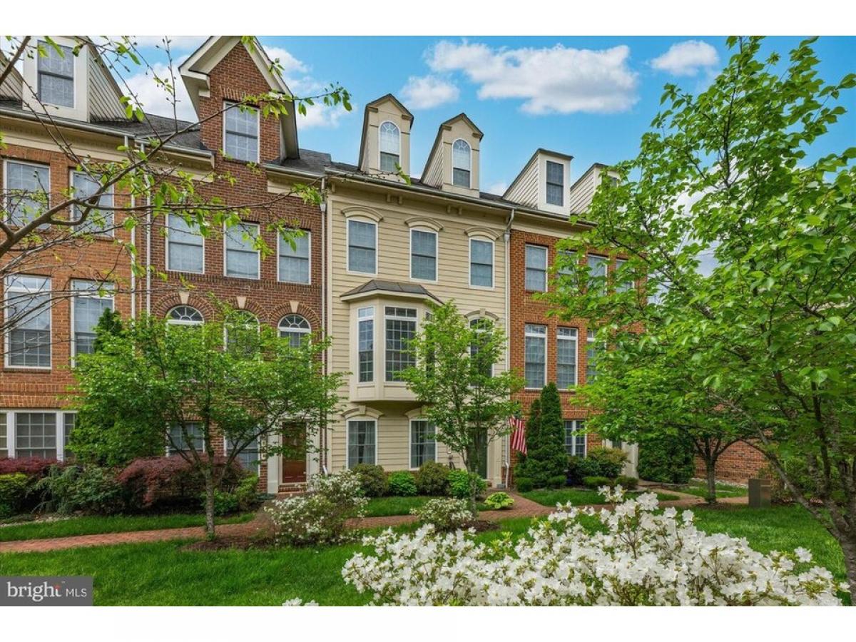 Picture of Home For Rent in Alexandria, Virginia, United States