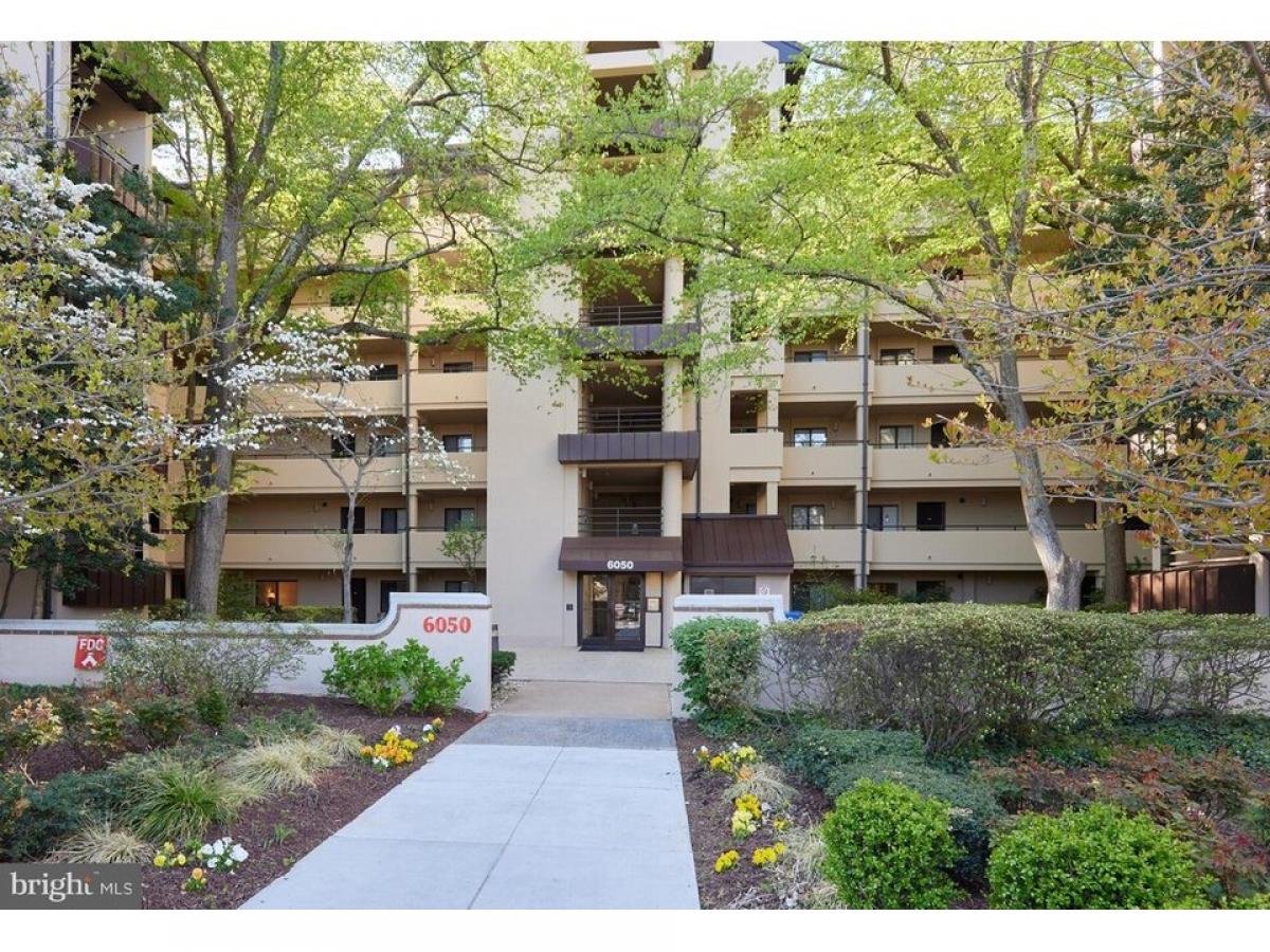 Picture of Home For Rent in Rockville, Maryland, United States