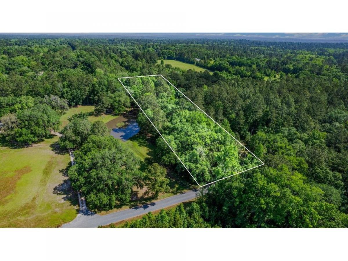 Picture of Residential Land For Sale in Tallahassee, Florida, United States