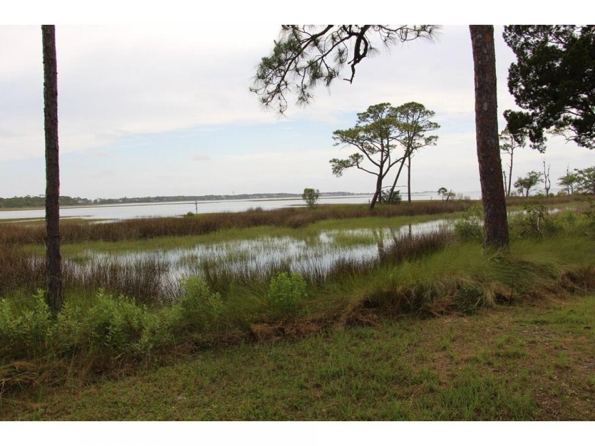 Picture of Residential Land For Sale in Alligator Point, Florida, United States