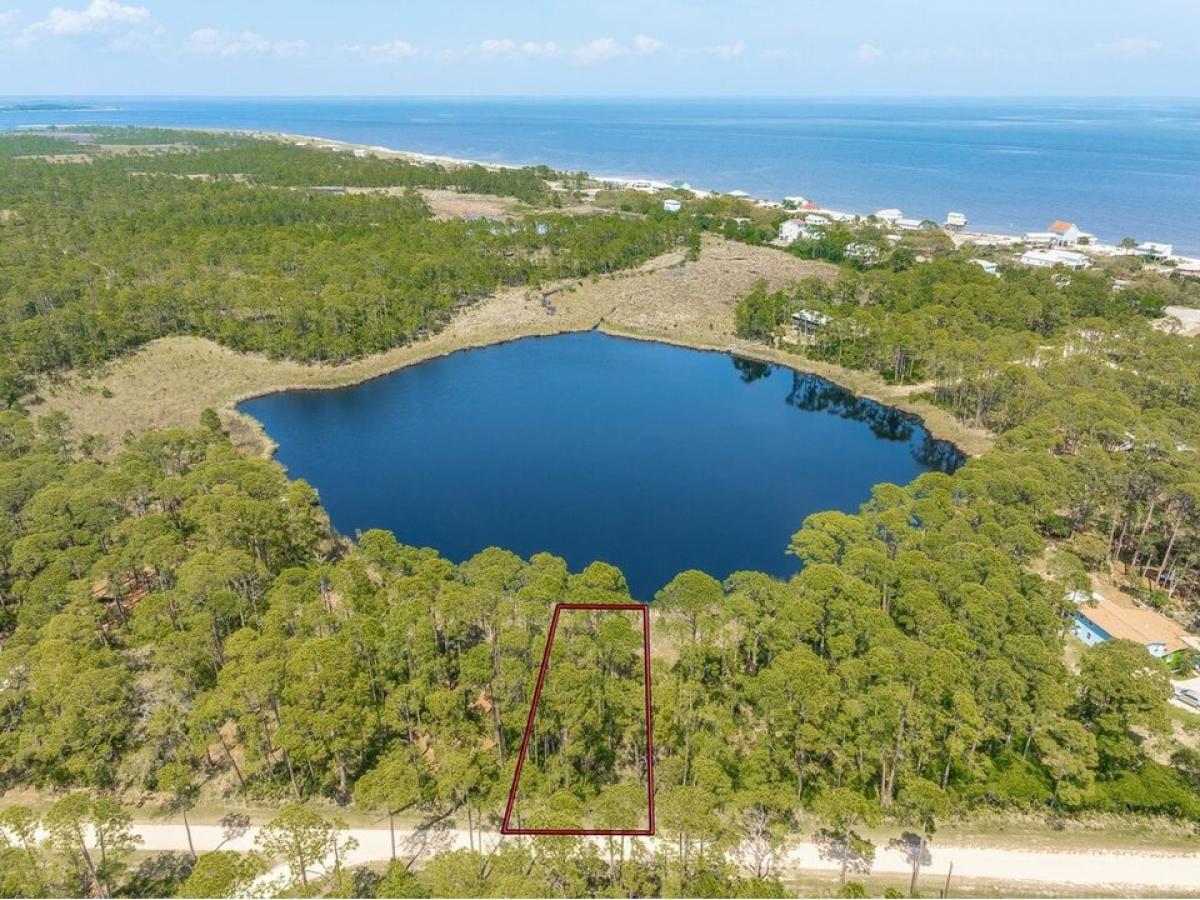 Picture of Residential Land For Sale in Alligator Point, Florida, United States