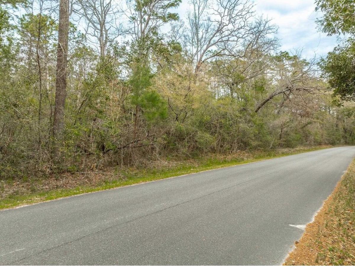 Picture of Residential Land For Sale in Crawfordville, Florida, United States