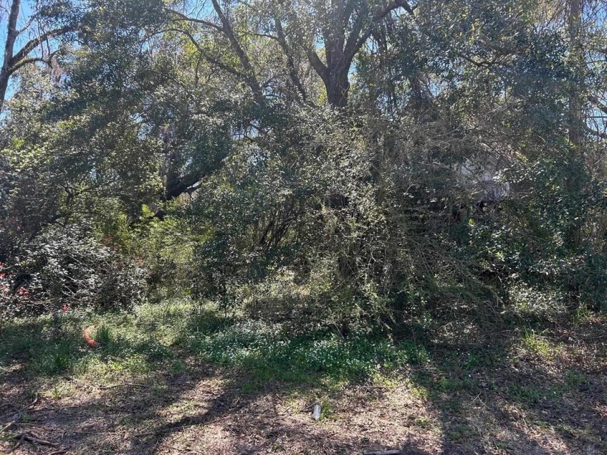 Picture of Residential Land For Sale in Tallahassee, Florida, United States