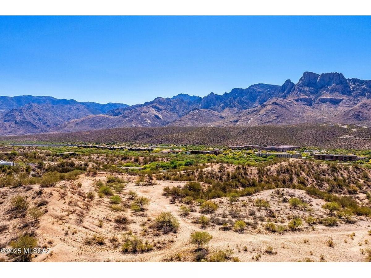 Picture of Residential Land For Sale in Oro Valley, Arizona, United States
