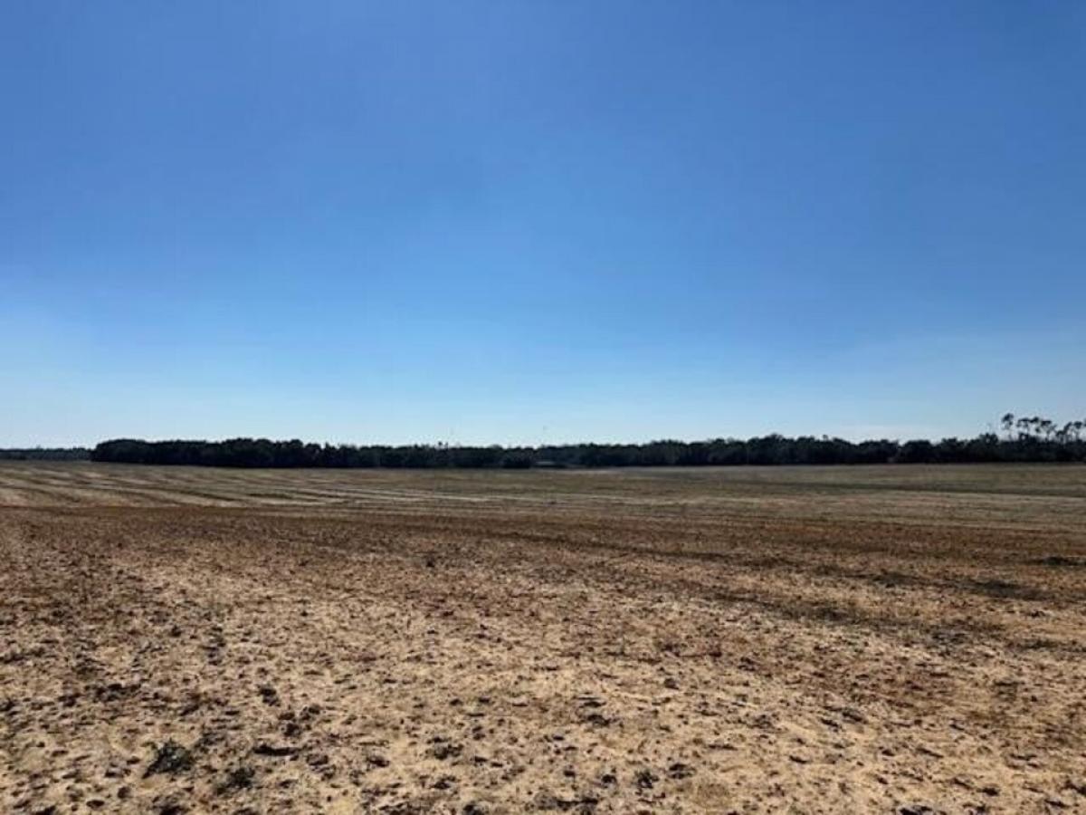 Picture of Residential Land For Sale in Donalsonville, Georgia, United States
