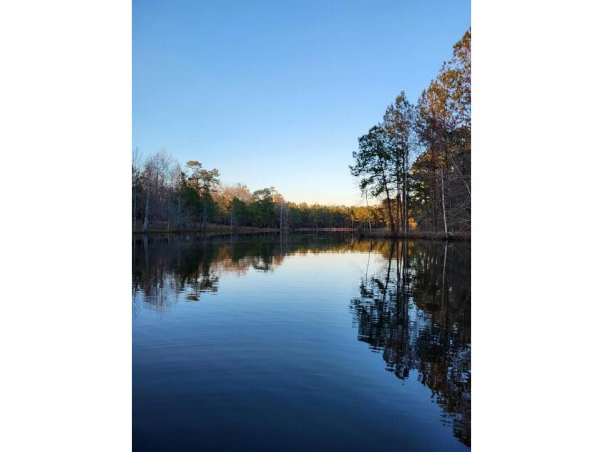 Picture of Residential Land For Sale in Cairo, Georgia, United States