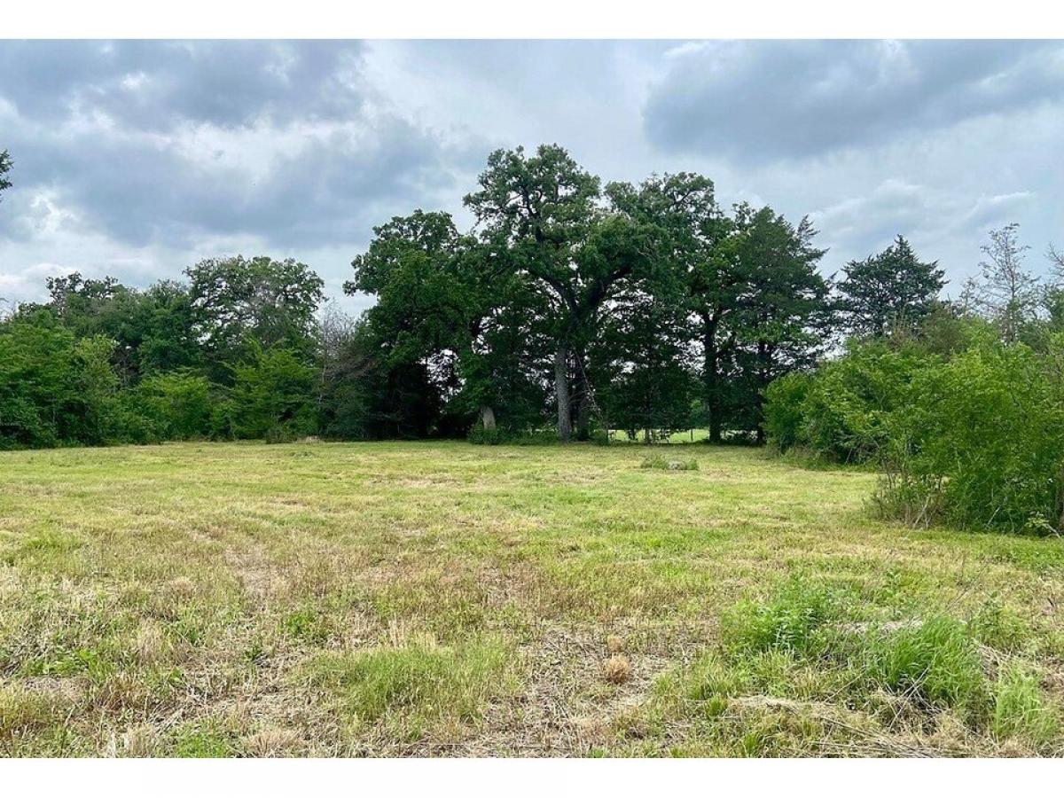 Picture of Residential Land For Sale in Caldwell, Texas, United States