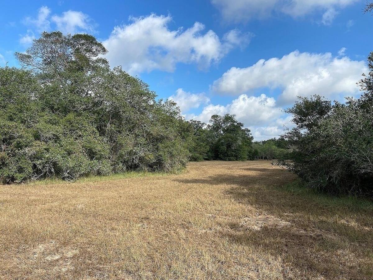 Picture of Residential Land For Sale in Garwood, Texas, United States