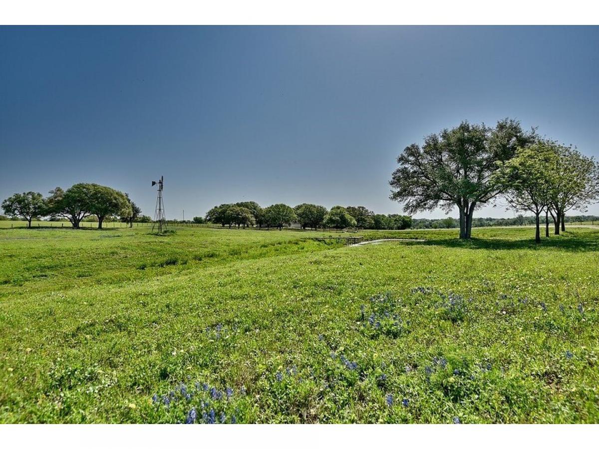 Picture of Farm For Sale in Washington, Texas, United States