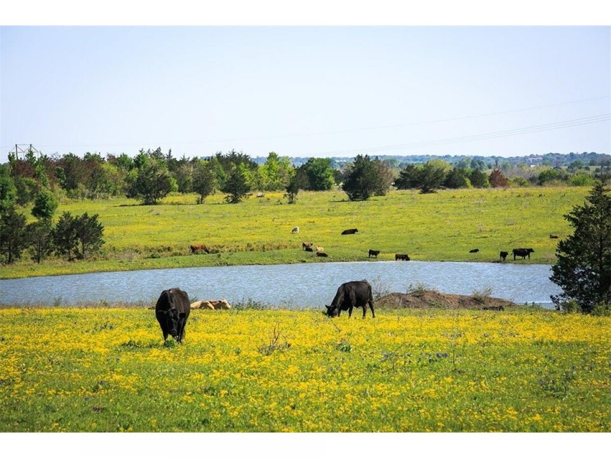 Picture of Residential Land For Sale in Chappell Hill, Texas, United States