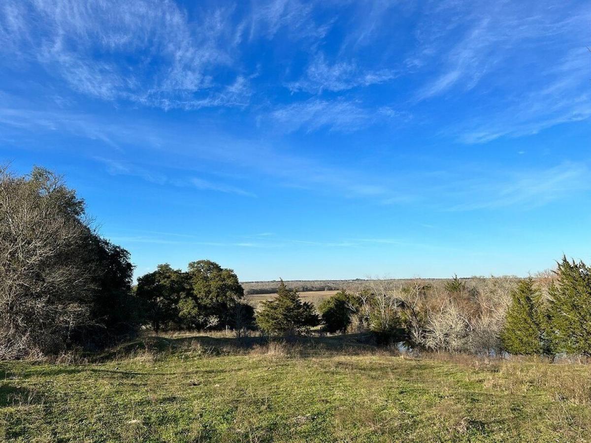 Picture of Residential Land For Sale in Brenham, Texas, United States