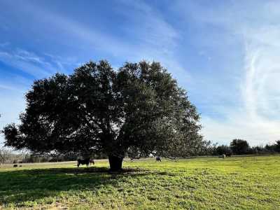 Residential Land For Sale in Brenham, Texas