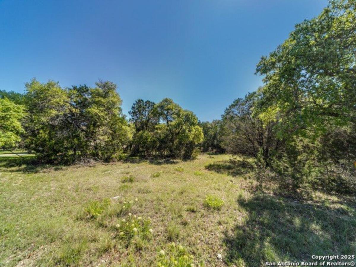Picture of Residential Land For Sale in Spring Branch, Texas, United States